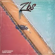 Zbs Ft Адлер Коцба